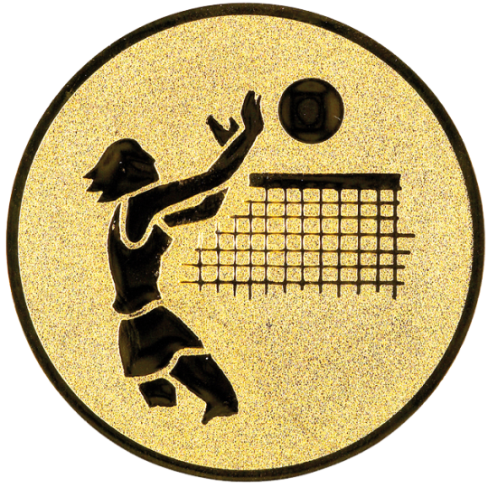 EMBLEMAT SIATKÓWKA A1.020