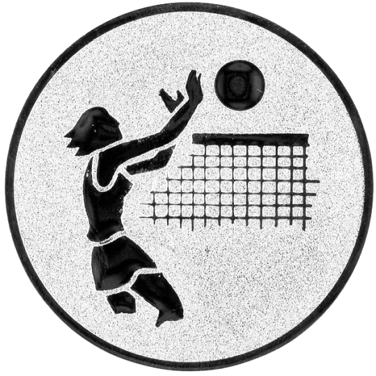EMBLEMAT SIATKÓWKA A1.020 - obrazek 2